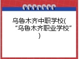 乌鲁木齐中职学校(“乌鲁木齐职业学校”)