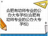 合肥有幼师专业的公办大专学校(合肥有幼师专业的公办大专学校)