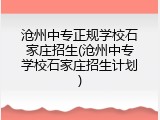 沧州中专正规学校石家庄招生(沧州中专学校石家庄招生计划)