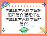 邯郸北方汽修学院杨阳洋简介(杨阳洋在邯郸北方汽修学院的简介)