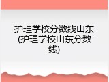 护理学校分数线山东(护理学校山东分数线)
