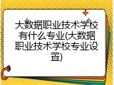 大数据职业技术学校有什么专业(大数据职业技术学校专业设置)