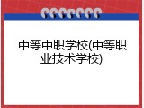 中等中职学校(中等职业技术学校)