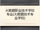 大数据职业技术学校专业(大数据技术专业学校)