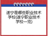 遂宁是哪些职业技术学校(遂宁职业技术学校一览)