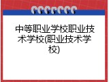 中等职业学校职业技术学校(职业技术学校)