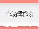 兴宁市卫生学校(兴宁市医护专业学校)