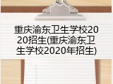 重庆渝东卫生学校2020招生(重庆渝东卫生学校2020年招生)