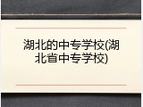 湖北的中专学校(湖北省中专学校)