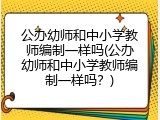 公办幼师和中小学教师编制一样吗(公办幼师和中小学教师编制一样吗？)