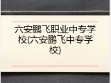 六安鹏飞职业中专学校(六安鹏飞中专学校)