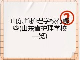 山东省护理学校有哪些(山东省护理学校一览)