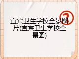 宜宾卫生学校全景图片(宜宾卫生学校全景图)