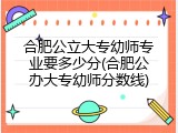 合肥公立大专幼师专业要多少分(合肥公办大专幼师分数线)
