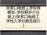 张家口电焊工学校有哪些-学校啊多少分能上(张家口电焊工学校入学分数及简介)