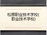 松原职业技术学校(职业技术学校)