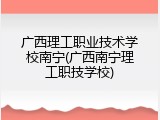 广西理工职业技术学校南宁(广西南宁理工职技学校)