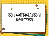 农村中职学校(农村职业学校)