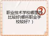 职业技术学校哪里的比较好(哪所职业学校较好？)