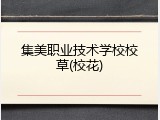 集美职业技术学校校草(校花)
