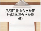 凤凰职业中专学校图片(凤凰职专学校图像)