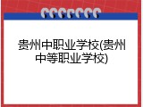 贵州中职业学校(贵州中等职业学校)