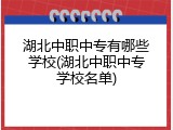 湖北中职中专有哪些学校(湖北中职中专学校名单)