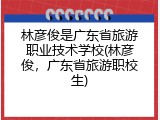 林彦俊是广东省旅游职业技术学校(林彦俊，广东省旅游职校生)