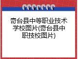 奇台县中等职业技术学校图片(奇台县中职技校图片)