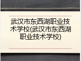 武汉市东西湖职业技术学校(武汉市东西湖职业技术学校)