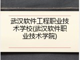 武汉软件工程职业技术学校(武汉软件职业技术学院)