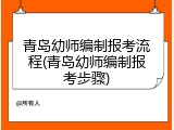 青岛幼师编制报考流程(青岛幼师编制报考步骤)