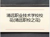 清远职业技术学校校花(清远职校之花)