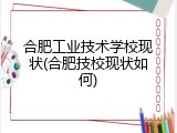 合肥工业技术学校现状(合肥技校现状如何)