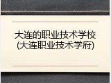 大连的职业技术学校(大连职业技术学府)