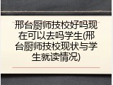邢台厨师技校好吗现在可以去吗学生(邢台厨师技校现状与学生就读情况)