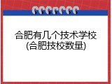 合肥有几个技术学校(合肥技校数量)
