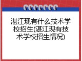 湛江现有什么技术学校招生(湛江现有技术学校招生情况)