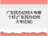广东民办幼师大专哪个好(广东民办幼师大专比较)