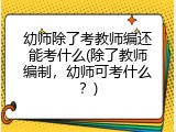 幼师除了考教师编还能考什么(除了教师编制，幼师可考什么？)