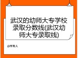 武汉的幼师大专学校录取分数线(武汉幼师大专录取线)
