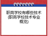 职高学校有哪些技术(职高学校技术专业概览)