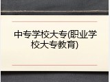 中专学校大专(职业学校大专教育)