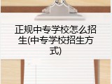 正规中专学校怎么招生(中专学校招生方式)