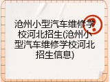 沧州小型汽车维修学校河北招生(沧州小型汽车维修学校河北招生信息)