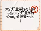 六安职业学院有幼师专业(六安职业学院设有幼教师范专业。)