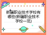 新疆职业技术学校有哪些(新疆职业技术学校一览)