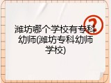 潍坊哪个学校有专科幼师(潍坊专科幼师学校)