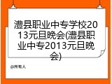 澧县职业中专学校2013元旦晚会(澧县职业中专2013元旦晚会)