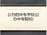 公办的中专学校(公办中专院校)